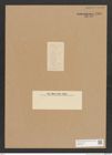 Diatomeae indet. Zeichnungen Sammlung Grunow Nr. 3901 (NHMW-BOT-W0371627)